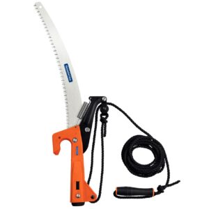 WhatsApp Image 2025-02-21 at 13.38.00